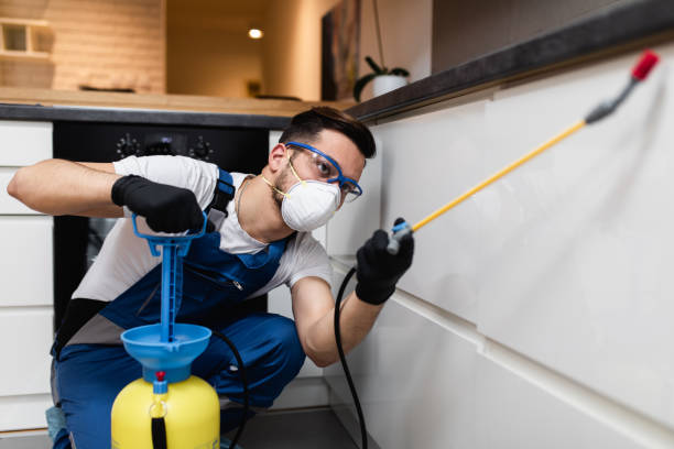 Best Insect Control  in Indian Shores, FL