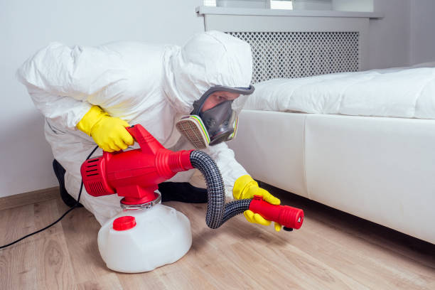 Wildlife Control Services in Indian Shores, FL