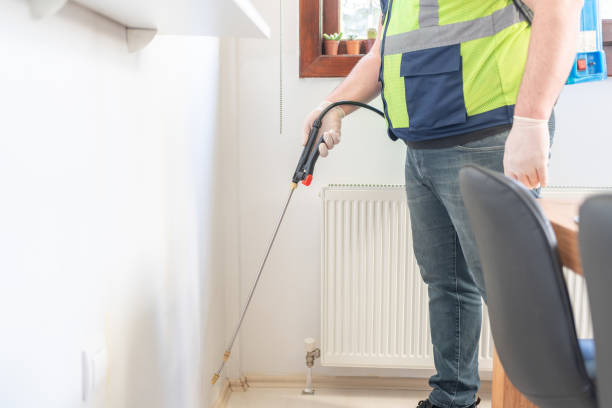 Best Wasp Removal Services  in Indian Shores, FL