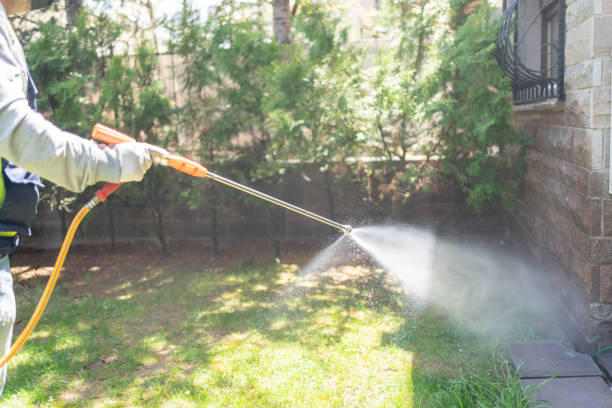 Best Wasp Removal Services  in Indian Shores, FL