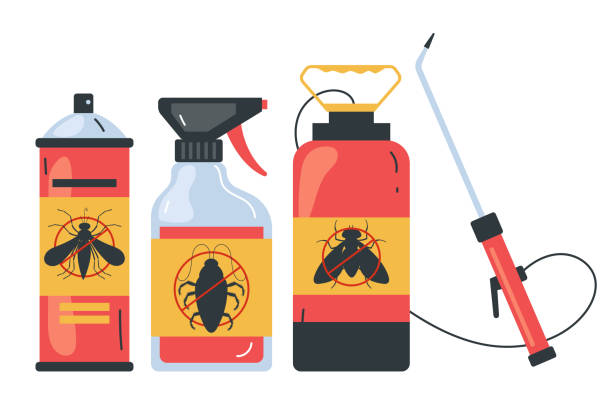Trusted Indian Shores, FL Pest Control Experts