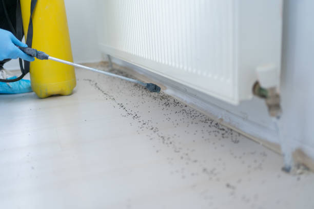 Best Wildlife Control Services  in Indian Shores, FL