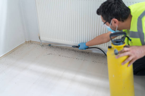 Best Pest Inspection Near Me  in Indian Shores, FL